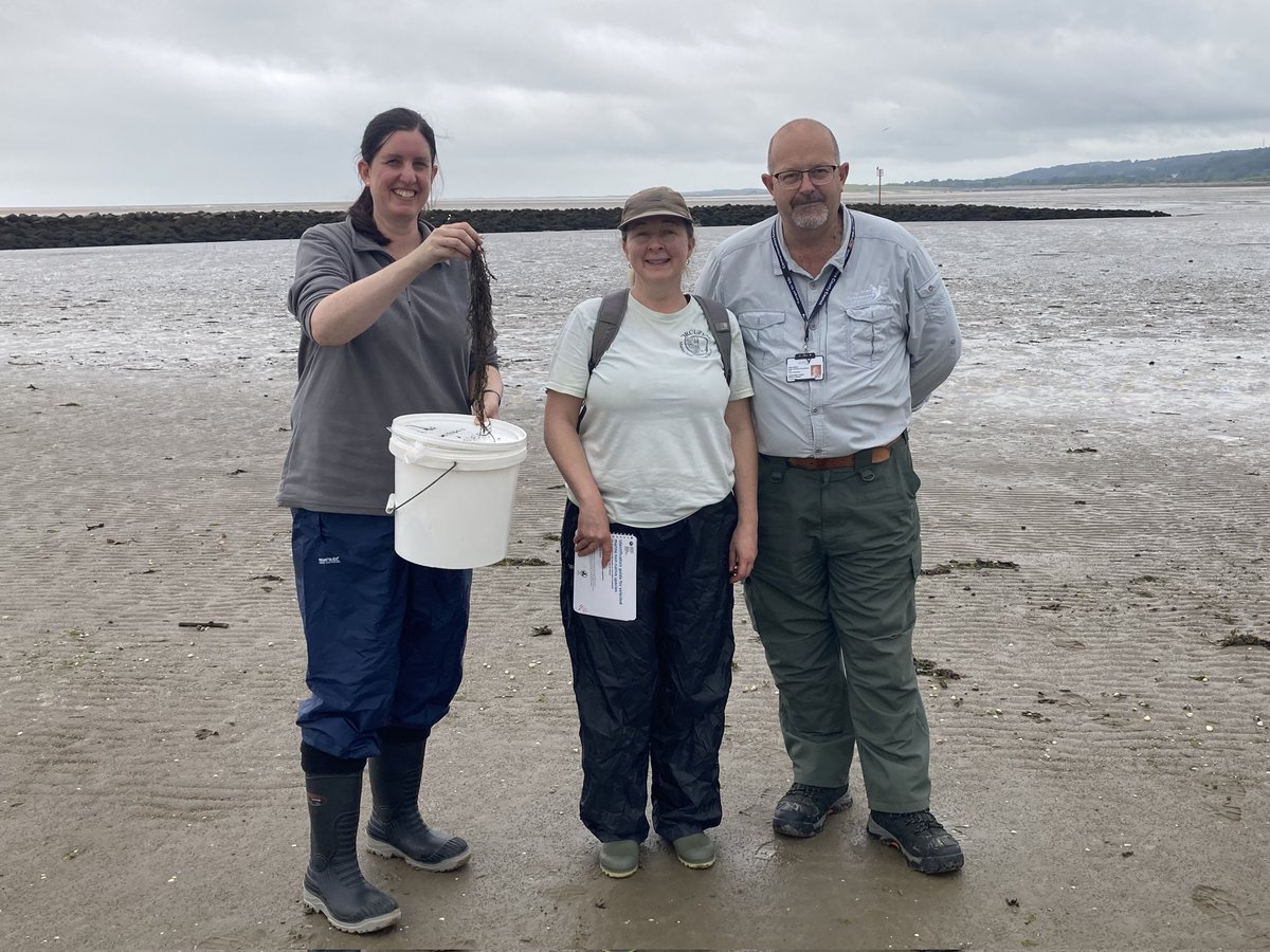 Cardiff Curator tweet media