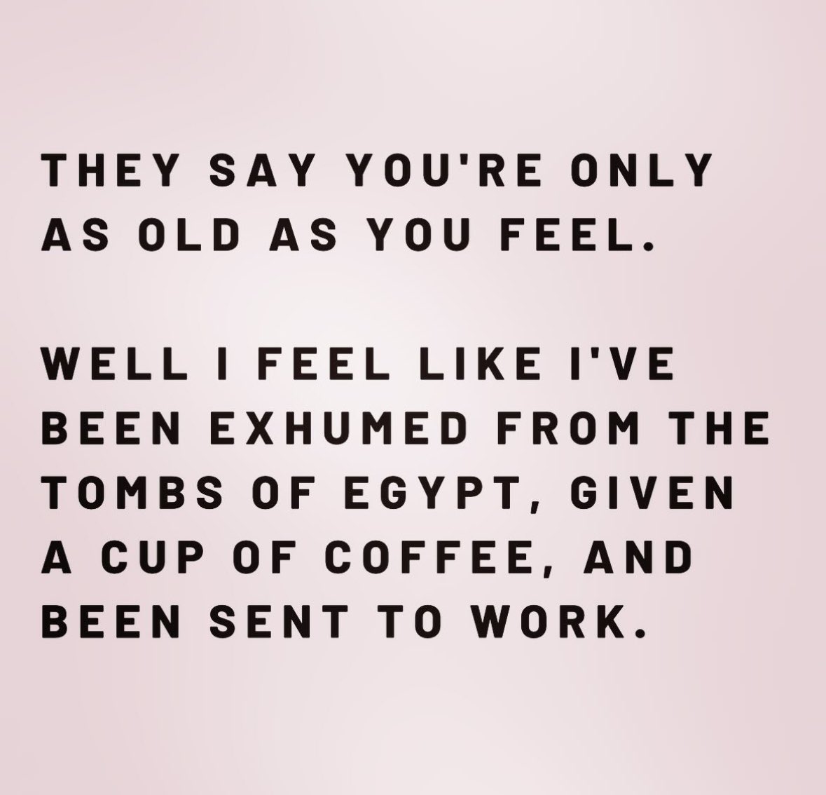 SJane#239 tweet media