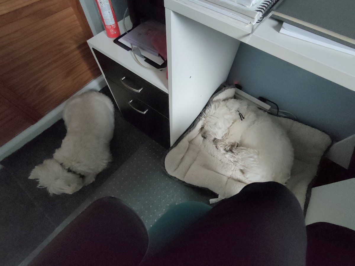 Barbara Morgan tweet media