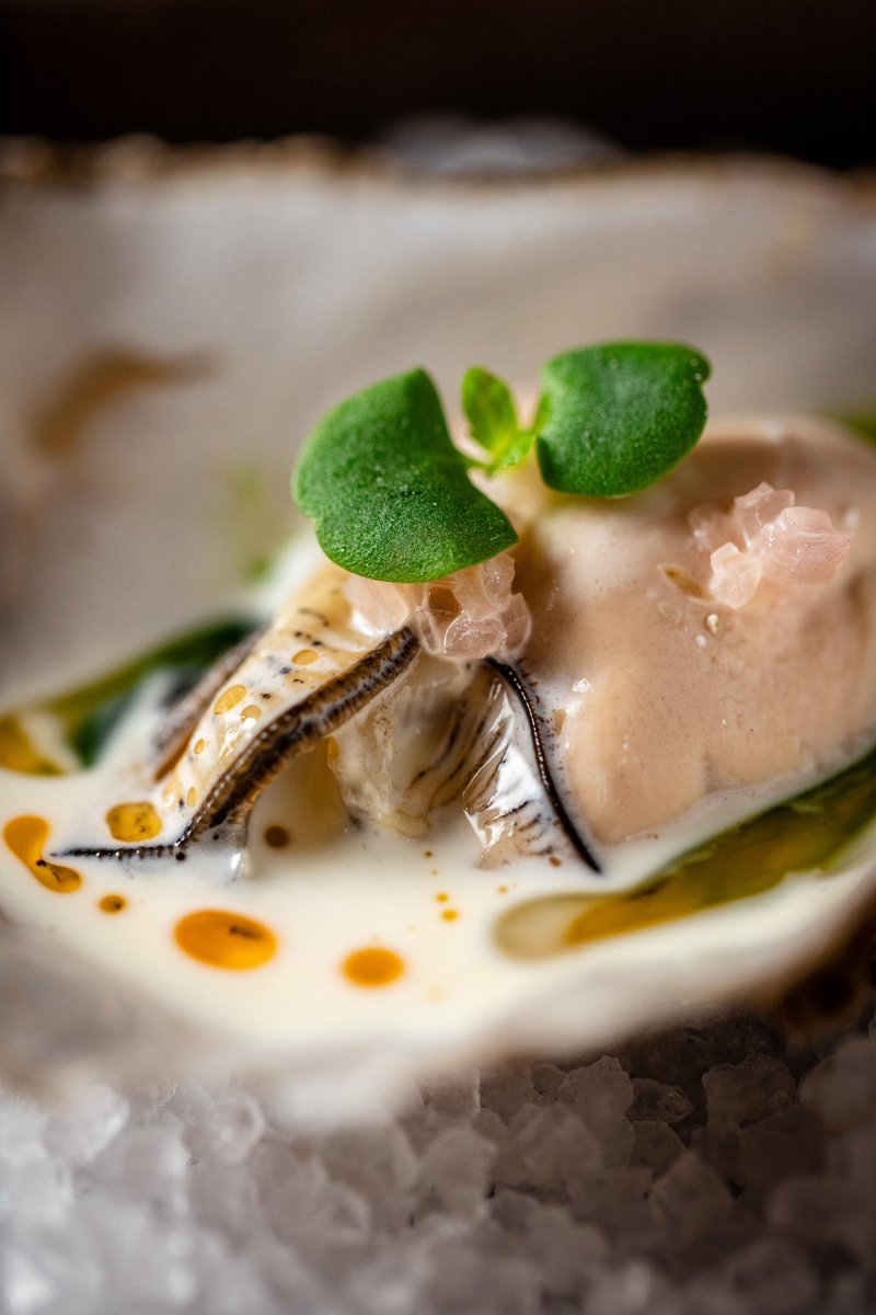 Manifest tweet media