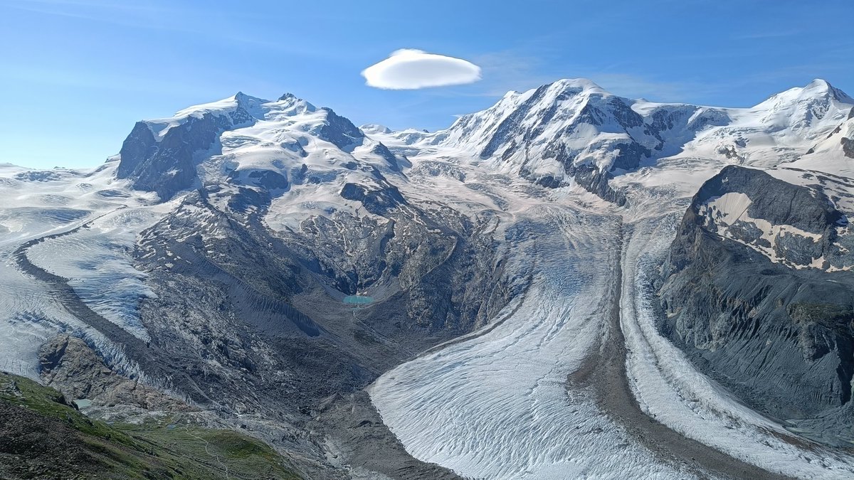 Will Taylor tweet media