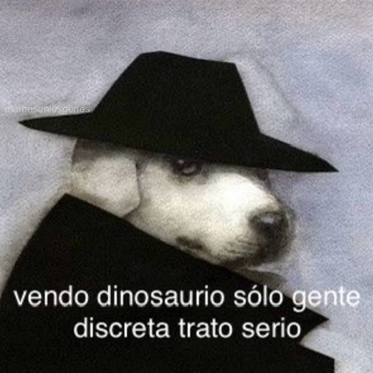 memesenlosgenes tweet media