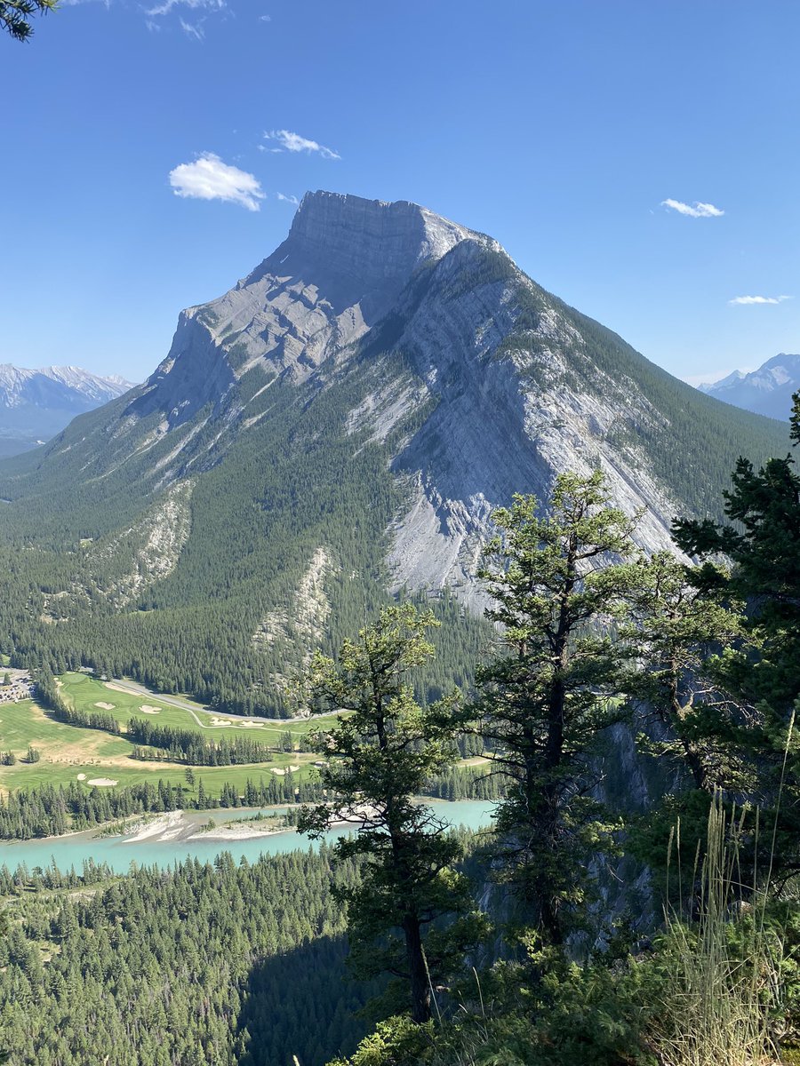 Gemma Perry 🕉️ tweet media