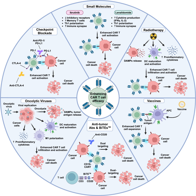 Waggoner Lab tweet media