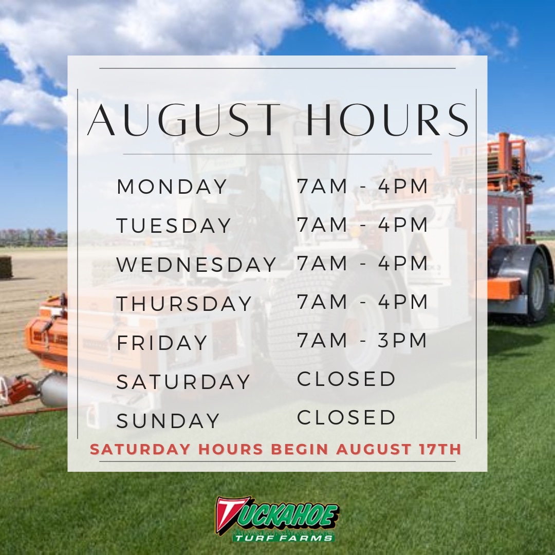 TuckahoeTurf's tweet photo. Come visit us this August at Tuckahoe Turf Farms! Saturday hours will resume August 17th!☀️
#gamedaysod #tuckahoeturffarms #njfarms #turf #turffarm #jerseygrown #turfing #turfgrass #turfmanagement #turfinstallation #turffarms #njturf #njturffarm #turfcare #turffacts #turffarming https://t.co/56634XwGWV