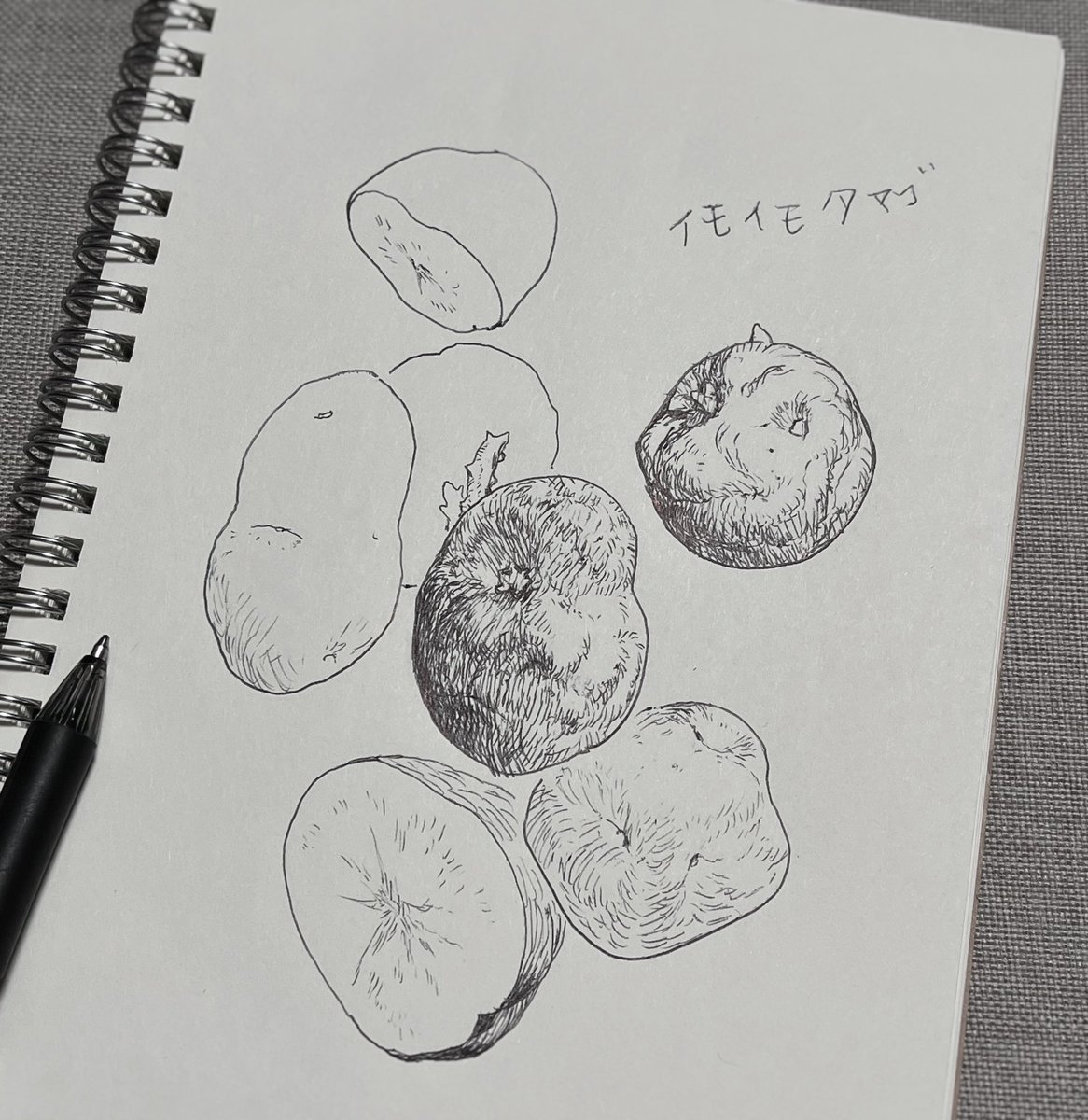 太めボールペンの描き味もよい