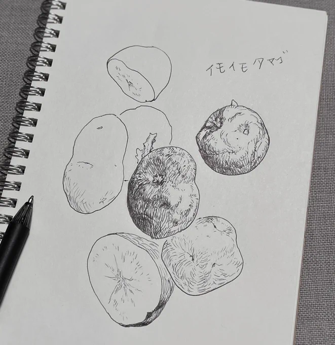 太めボールペンの描き味もよい