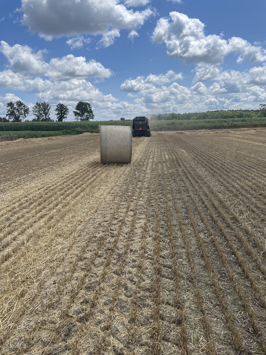 timatconnect's tweet photo. It is a fine  day for post delivery training.   The Massey Ferguson RB4160V is the baler that #ontag needs.  Call me @ConnectEquip Rockwood for yours. https://t.co/esaRPCZVrv