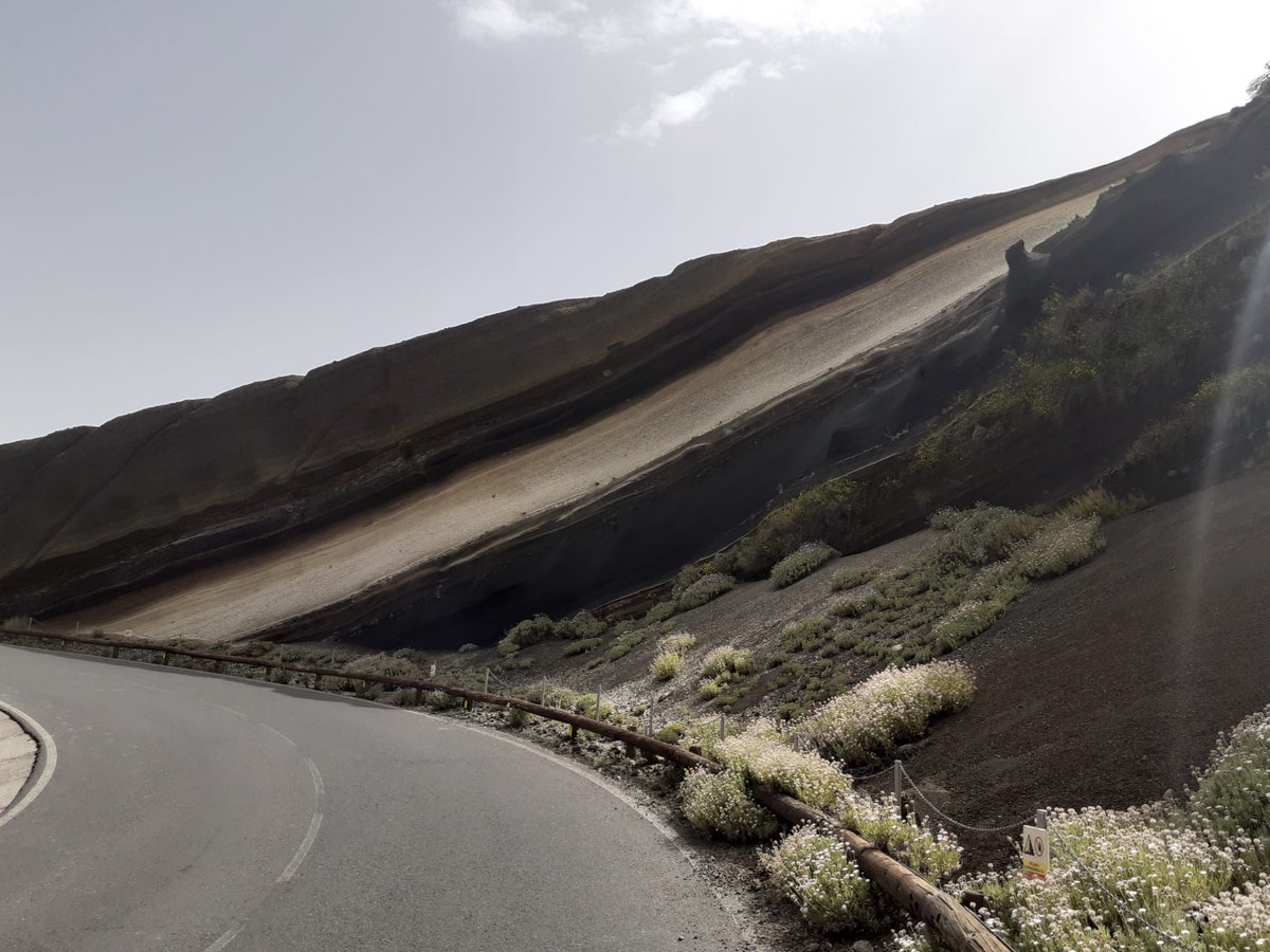 Peter.t.Lunt tweet media