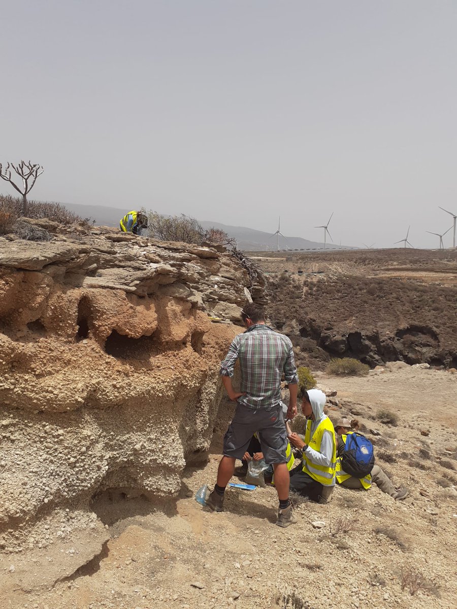 Peter.t.Lunt tweet media