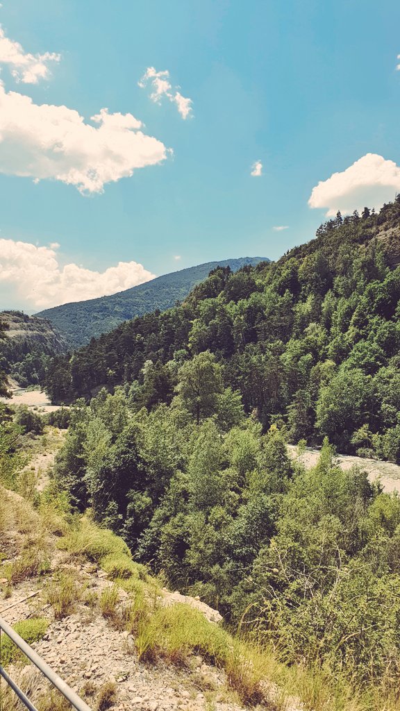 Train des Pignes Historique tweet media