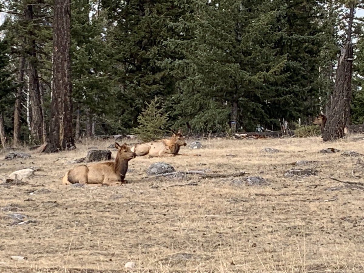 Monica Hardjowasito 🇺🇦 tweet media