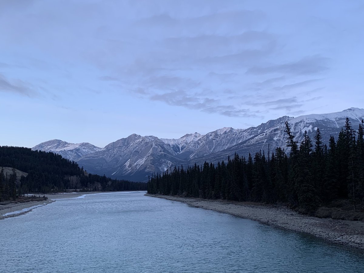 Monica Hardjowasito 🇺🇦 tweet media