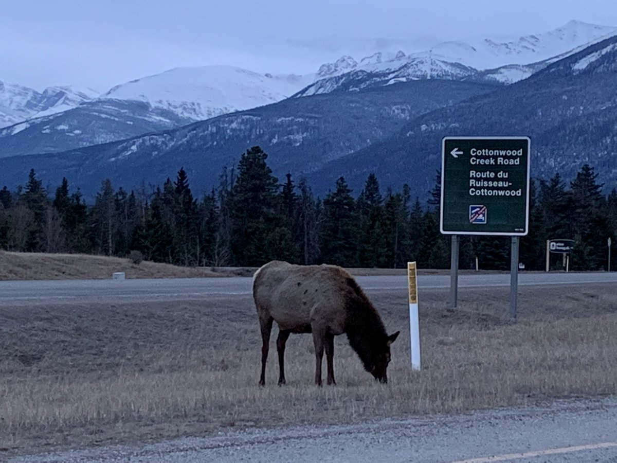 Monica Hardjowasito 🇺🇦 tweet media