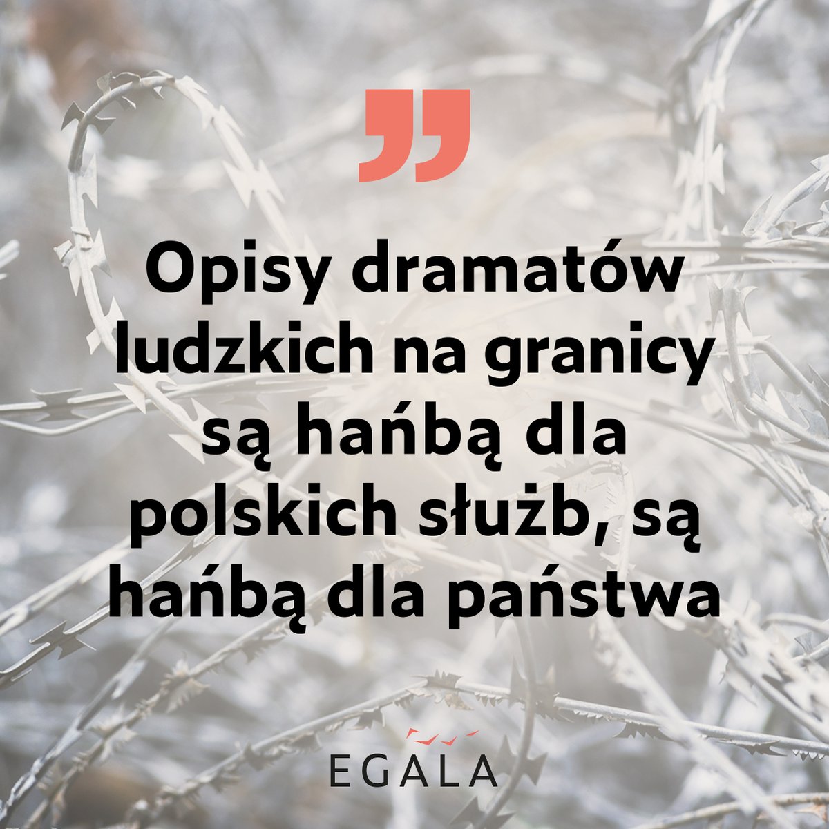 Dziś miała miejsce premiera raportu „Mamy tu tylko jedną wojnę: imigrację, ciebie. Polityka pushbacków i przemocy służb na granicy polsko-białoruskiej”, stworzonego przez Stowarzyszenie We Are Monitoring i <a href="/hfhrpl/">Helsińska Fundacja Praw Człowieka</a>. Więcej tiny.pl/dn7hc