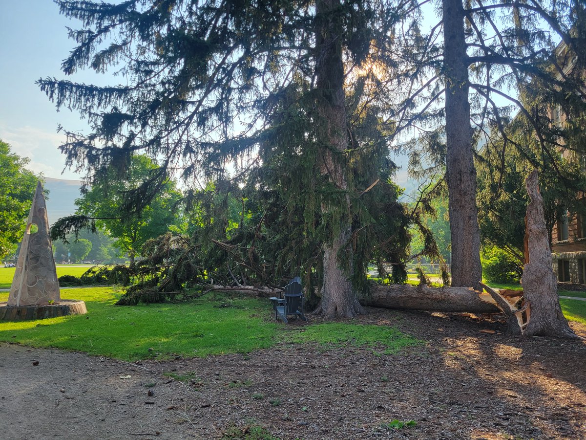 joemaczim's tweet photo. A lot of the weather extremes of the American west this week. It's been a heat wave, and high AQI from the wildfires. Then last night, a terrible windstorm brought down hundreds of trees and we and thousands of others lost power. Seeing damage from hurricane-force winds this a.m. https://t.co/eXIrwKhSuq