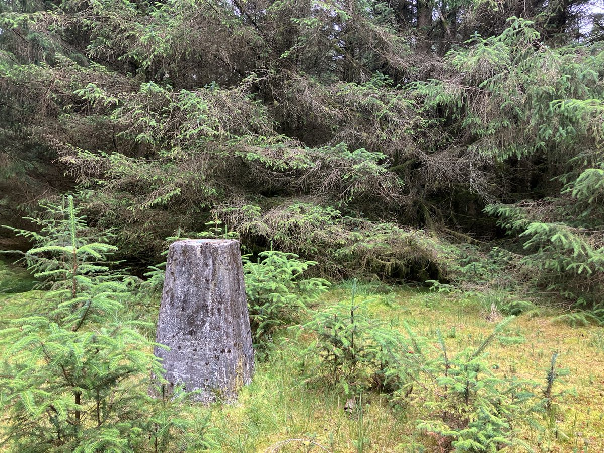 iancampbell251's tweet image. #trigpoints of 
Leven Seat and Pearie Law - two of the least walked hills of the Lothians.
61 of the 71 Edinburgh and Lothian trig points visited in a continuous walk 🚶😎