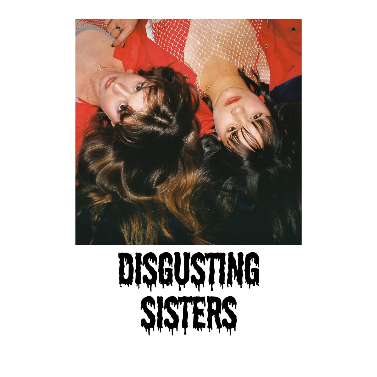 Prolifica tweet media