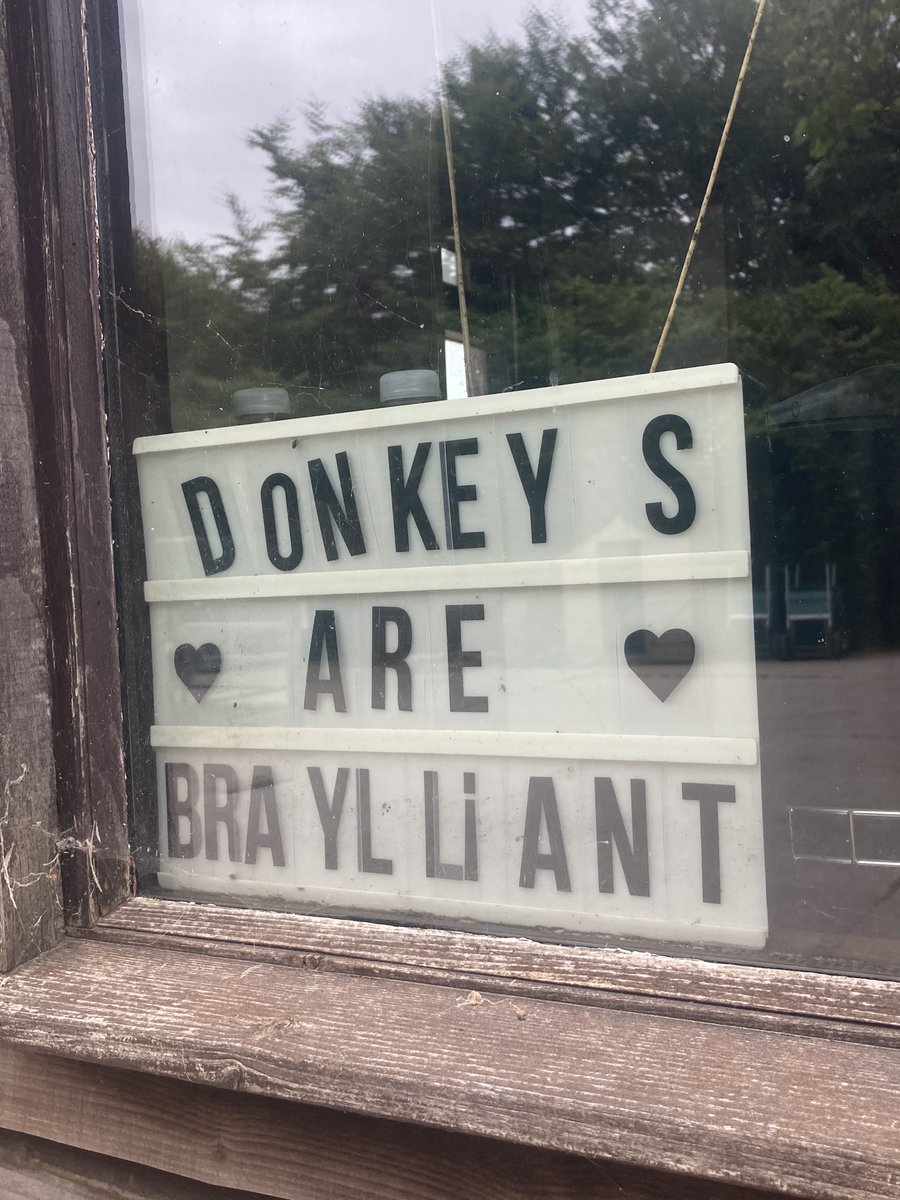 Sasha Donnier (she/her) (@sashadonnier) on Twitter photo My PhD data collection just ended! Recording donkeys at <a href="/DonkeySanctuary/">The Donkey Sanctuary</a> was both fun and fascinating! Huge thanks for supporting my research and for your incredible work in donkey health and welfare! 🫏 #PhDLife #AnimalBehaviour #DonkeySanctuary My PhD data collection just ended! Recording donkeys at <a href="/DonkeySanctuary/">The Donkey Sanctuary</a> was both fun and fascinating! Huge thanks for supporting my research and for your incredible work in donkey health and welfare! 🫏 #PhDLife #AnimalBehaviour #DonkeySanctuary