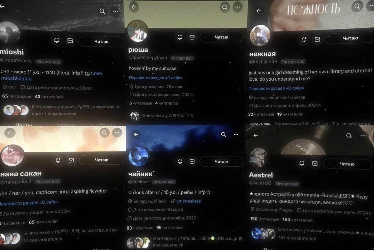 Miyanchik tweet media