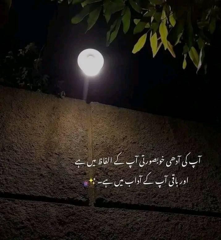 Nawal Saeed (@yournawal) / Posts / X