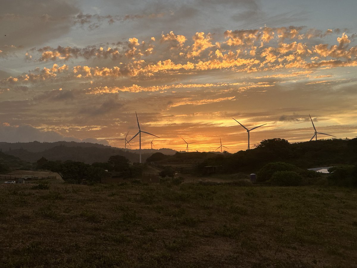 Went for a sunset horse ride last night on the North Shore.