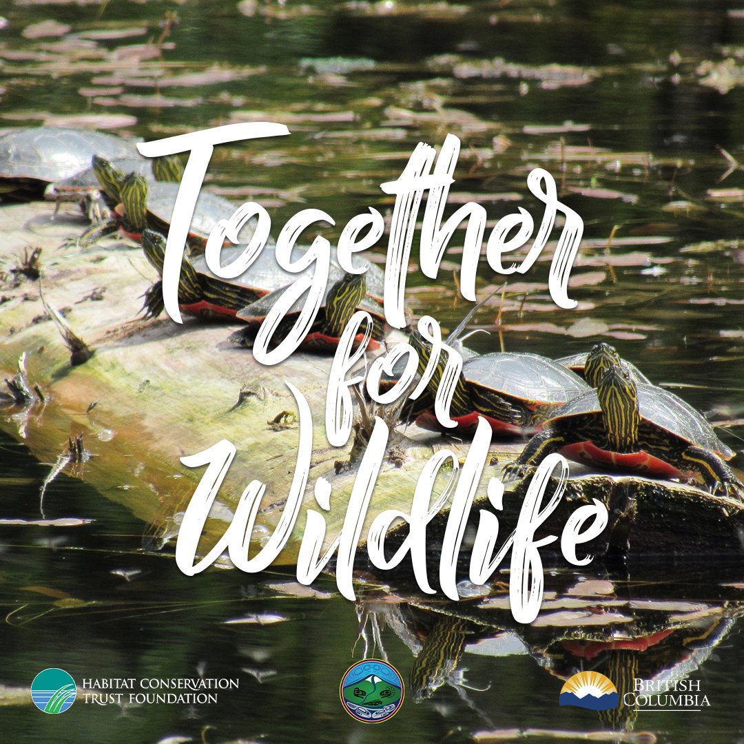 HCTFBC's tweet photo. Congratulations to this years Together For Wildlife Scholarship Recipients:
Landon Birch, Mitchell Brunet, Tristen Brush, Alexia Constantinou, Westin Creyke, Siobhan Darlington, Isabel Deutsch, Paige Monteiro, Larisa Murdoch, and Megan Roxby https://t.co/w0XKXz1Hrj