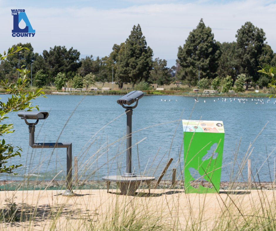 WaterForLA's tweet photo. It’s #LoveParksWeek! 🛝

Throughout #LACounty, @lacopublicworks invests in multi-benefit park projects that help enhance public spaces while boosting local water supplies. ♻️

Learn more about LA County’s Multi-Benefit projects: https://t.co/OJ0Kx5w5IE.

#WaterforLA #PublicParks https://t.co/o8gXObgYNU