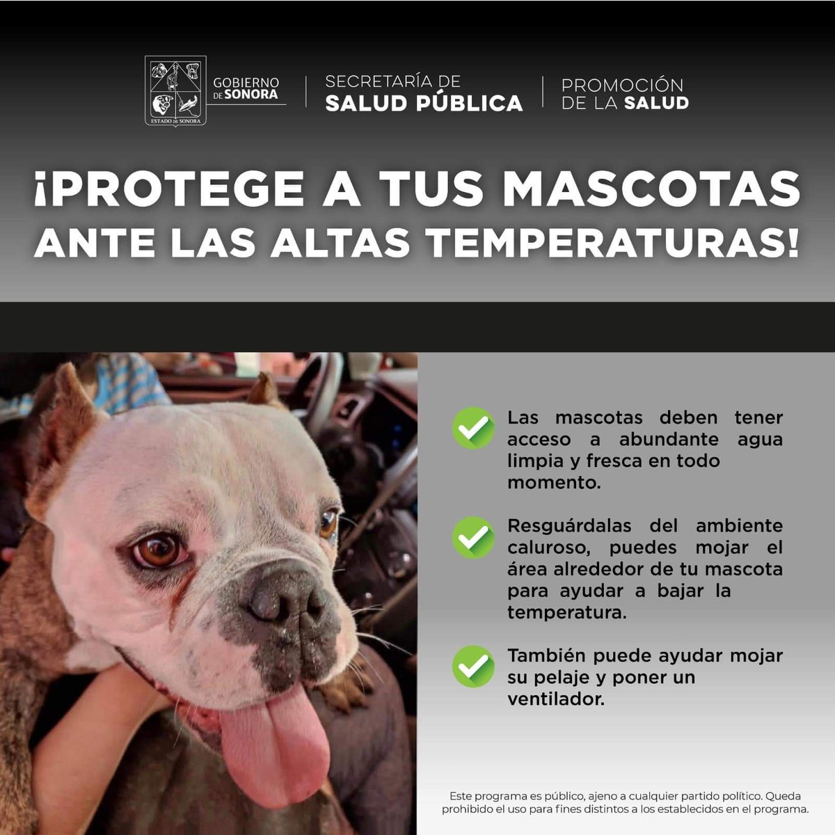 En esta temporada de #Verano con clima extremo de calor,  protejamos a nuestras mascotas y ayudemos a los animalitos en situación de calle ☀️🐾