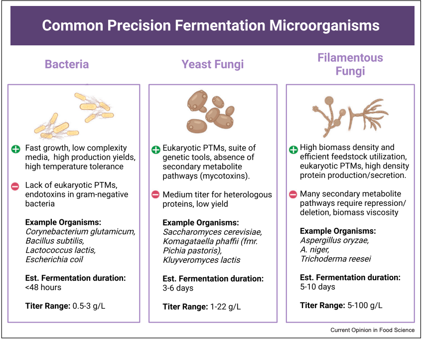GFI's resident fermentation experts Adam Leman and Lucas Eastham have written a great technical explainer for scientific audiences about precision fermentation and the use of microbes to manufacture sustainable proteins. Check it out: bit.ly/4cS81Aq