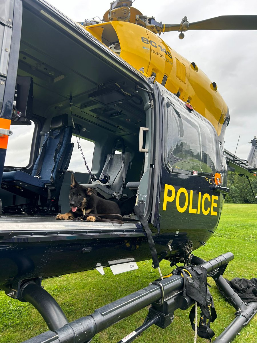 NPAS London tweet media