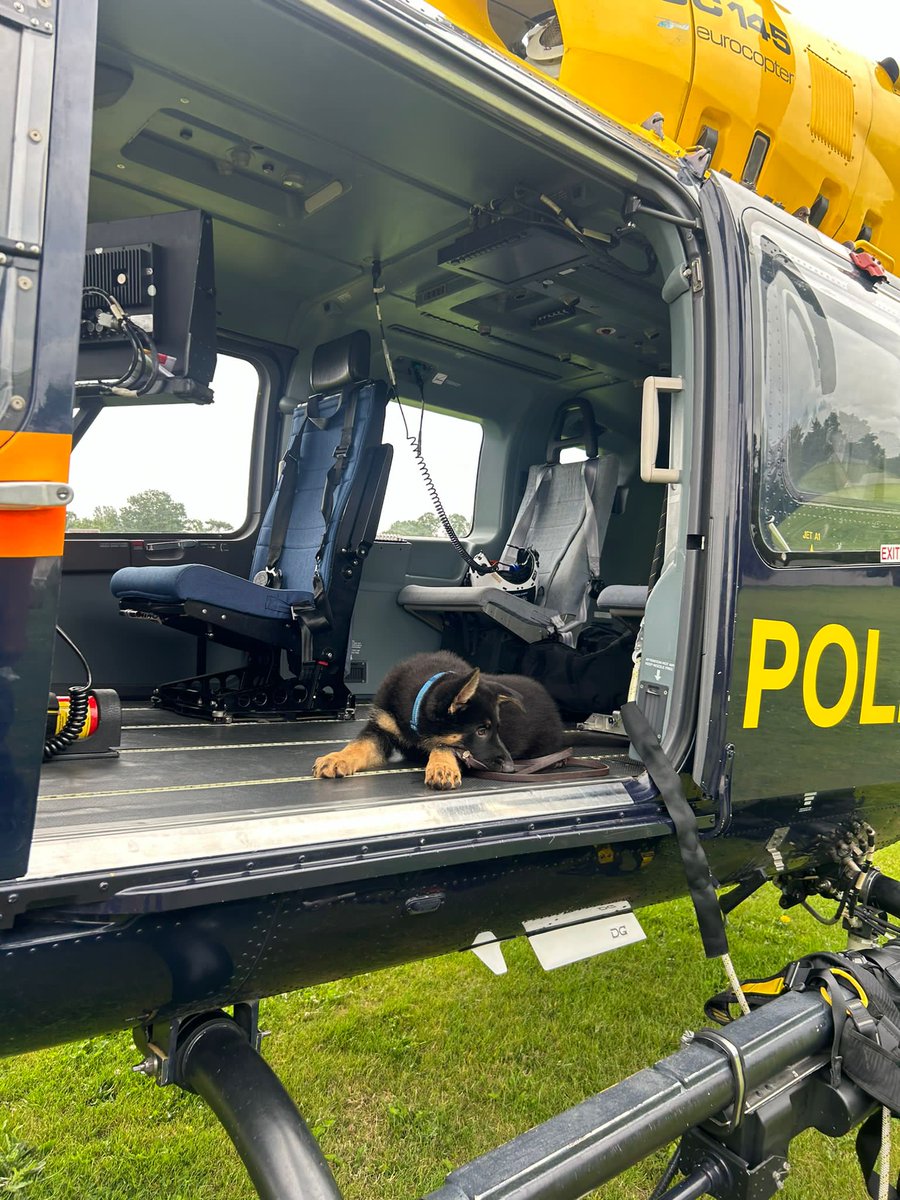 NPAS London tweet media