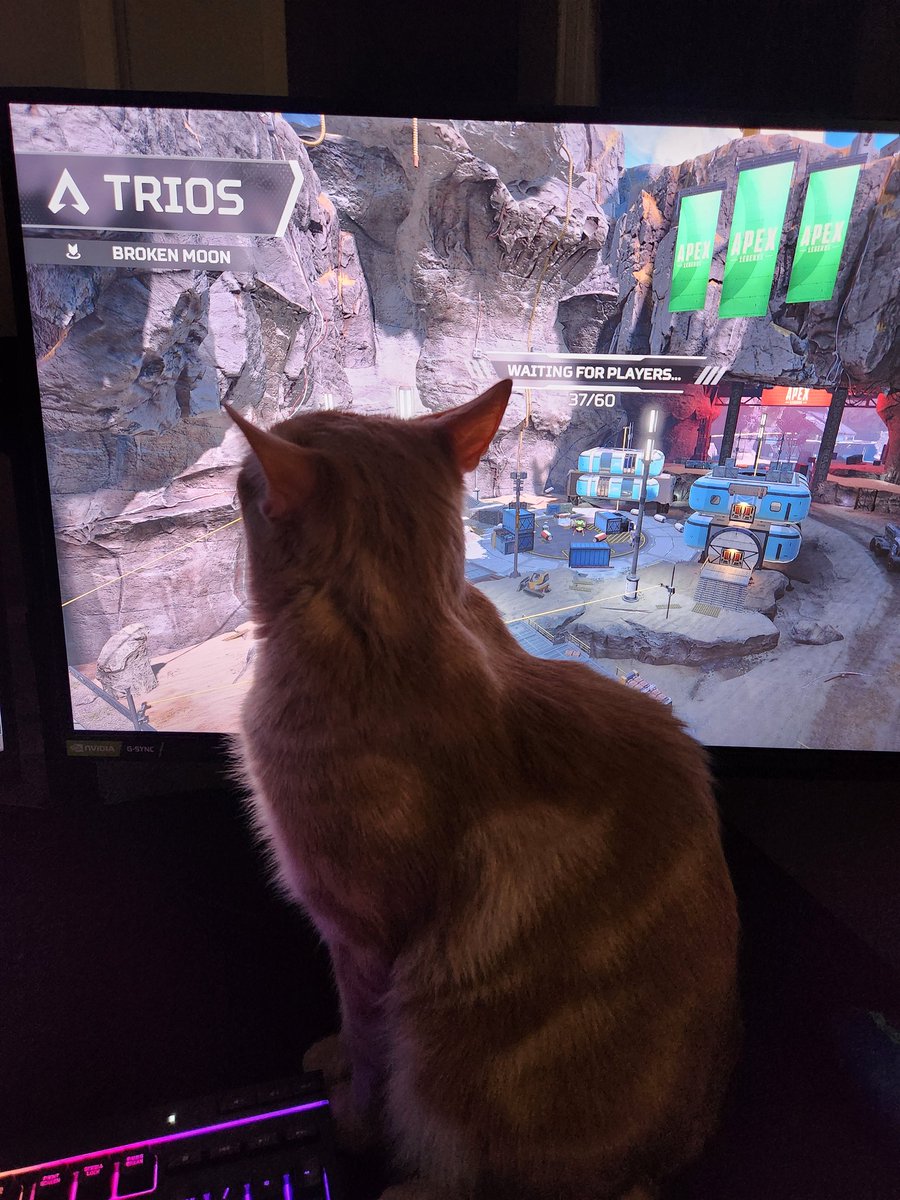 "So where are we dropping?"