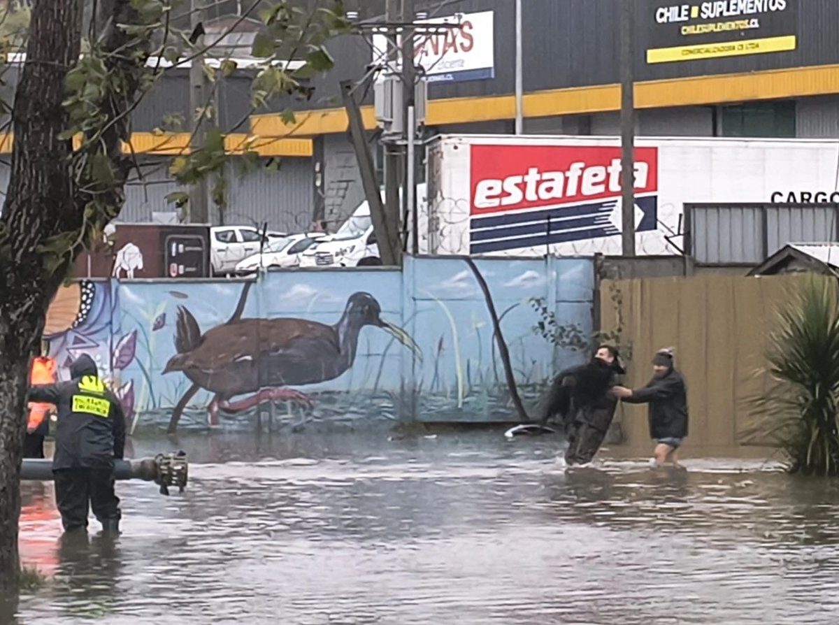 camiloriffo's tweet photo. Desde sector Angol Bajo en #Concepción denuncian que, pese a reciente paralización, continúan trabajos en terreno donde han tirando escombros a humedal colindante. Vienen lluvias intensas y la comunidad de Angol Bajo se vuelve a preparar a la posible 8va inundación ¡En un mes! https://t.co/1eFwbxO9D6