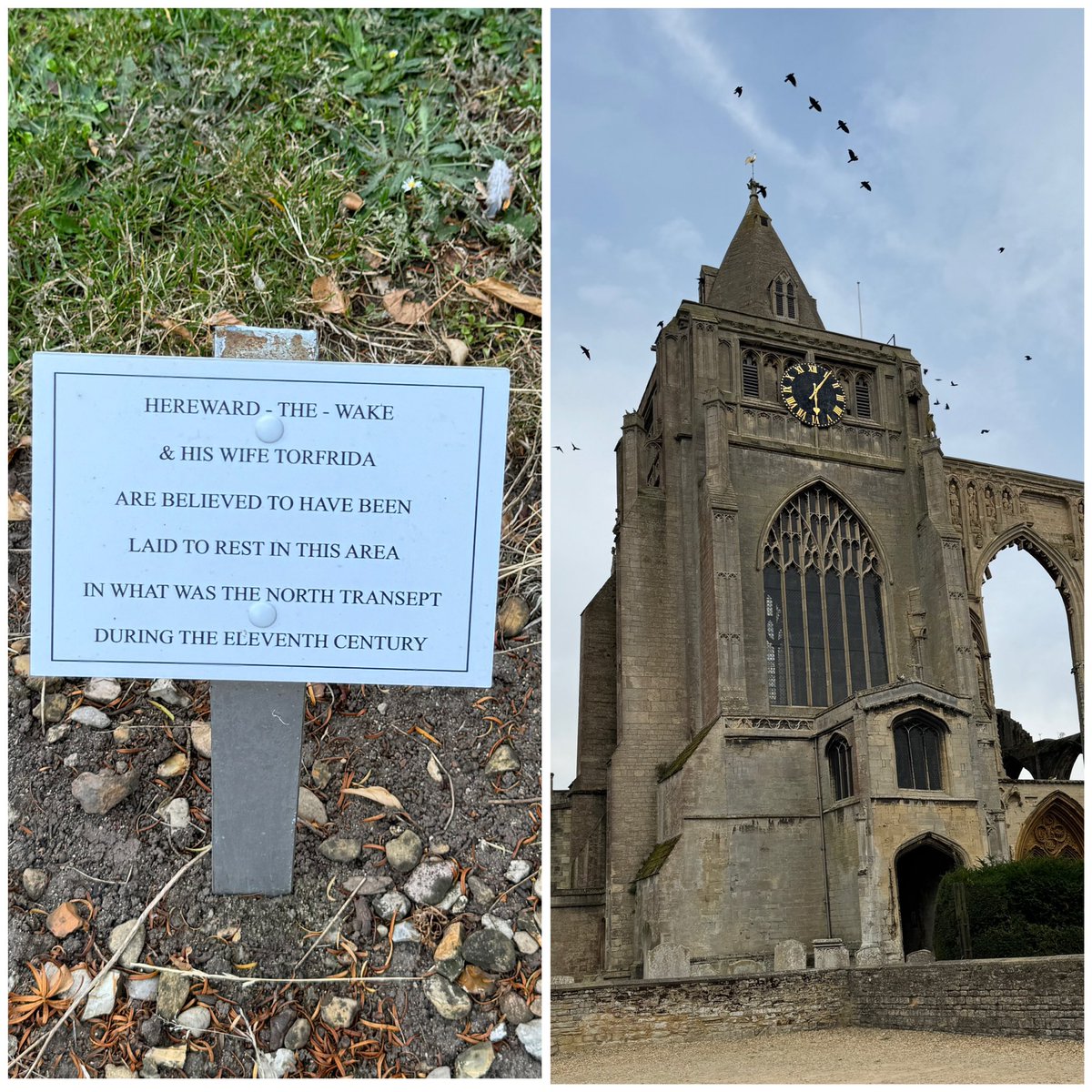 Nigel Pepper tweet media