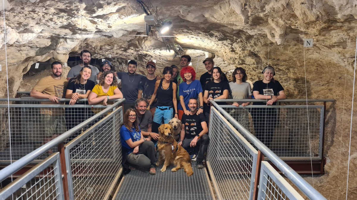 NeanderTALES tweet media