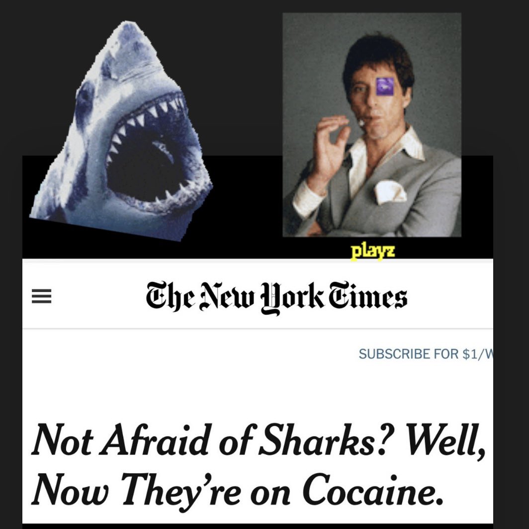Michael Leonhart (@michaelleonhart) on Twitter photo Only in #2024
Nice news to calm us all down a little.
#sharks on #cocaine
#cocaineshark
#jaws
#sayhellotomylittlefriend #tonymontana
<a href="/nytimes/">The New York Times</a> <a href="/BBCWorld/">BBC News (World)</a> <a href="/BBCWorld/">BBC News (World)</a> <a href="/BBCBreaking/">BBC Breaking News</a> <a href="/BBC/">BBC</a> <a href="/BBCArabic/">BBC News عربي</a> Only in #2024
Nice news to calm us all down a little.
#sharks on #cocaine
#cocaineshark
#jaws
#sayhellotomylittlefriend #tonymontana
<a href="/nytimes/">The New York Times</a> <a href="/BBCWorld/">BBC News (World)</a> <a href="/BBCWorld/">BBC News (World)</a> <a href="/BBCBreaking/">BBC Breaking News</a> <a href="/BBC/">BBC</a> <a href="/BBCArabic/">BBC News عربي</a>