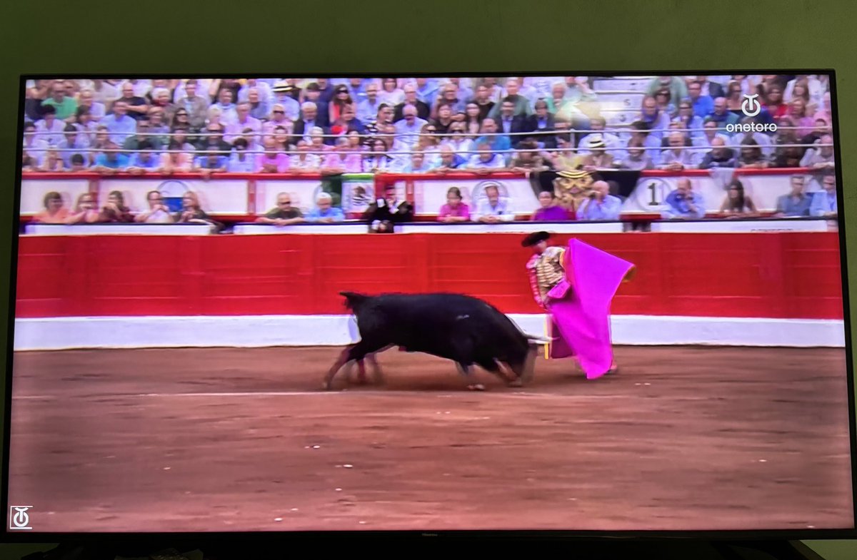 Esperando que se haga en anuncio de la temporada por <a href="/TorosYucatan1/">Toros Yucatán</a> , mientras viajo a Santander a la feria de Santiago apóstol gracias a <a href="/OneToroTV/">OneToroTV</a>