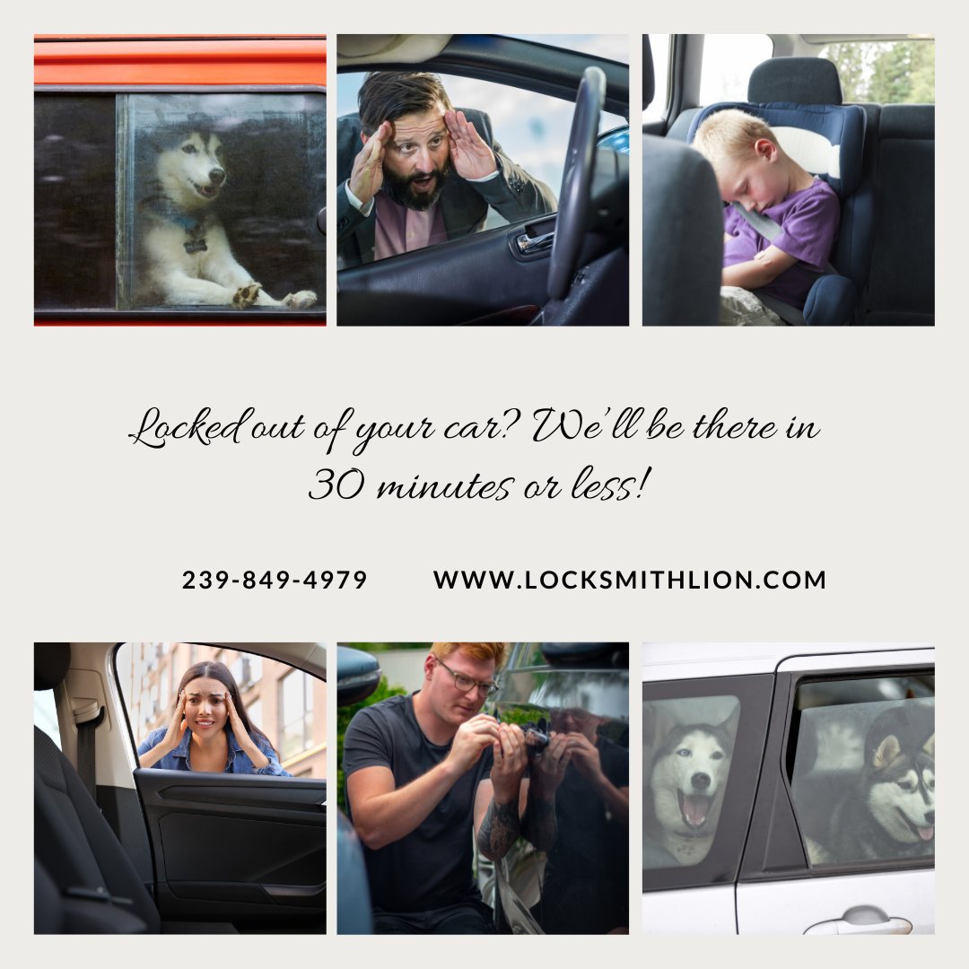Locksmith Lion tweet media