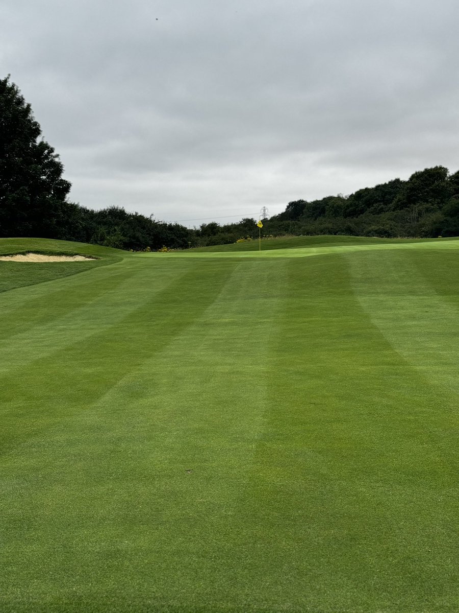 The Club At Mill Green tweet media