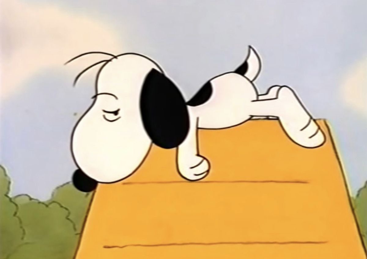 snoopyvinyls's tweet photo. me after a long day of doing nothing https://t.co/iV37Mz5MBR