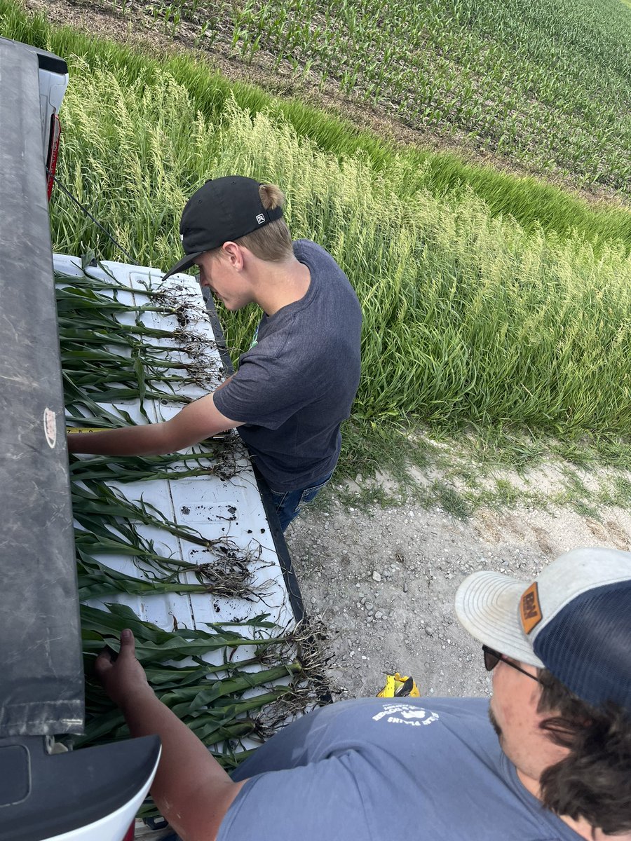 Happy National Intern Day doing <a href="/bw_fusion/">BW Fusion</a> research with <a href="/PeytonGaul5/">Peyton</a> and <a href="/CooperReed9/">Cooper Reed</a>