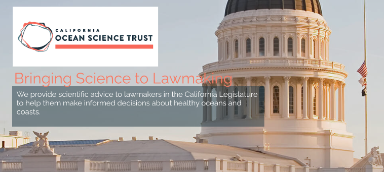 SCCOOS_org's tweet photo. CALIFORNIA OCEAN SCIENCE  BILL TRACKER
A first-of-its-kind resource for the broader scientific community in California to stay informed on legislative policies impacting the future of our coast and ocean.

https://t.co/Hapsr0dDd3 https://t.co/2pfGH60Xey