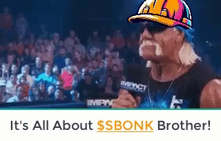 DevinV85's tweet photo. @cryptogems555 $SBONK we been around since 2023, still here, still strong. and most of all, still safe https://t.co/NjcxEPZyNl