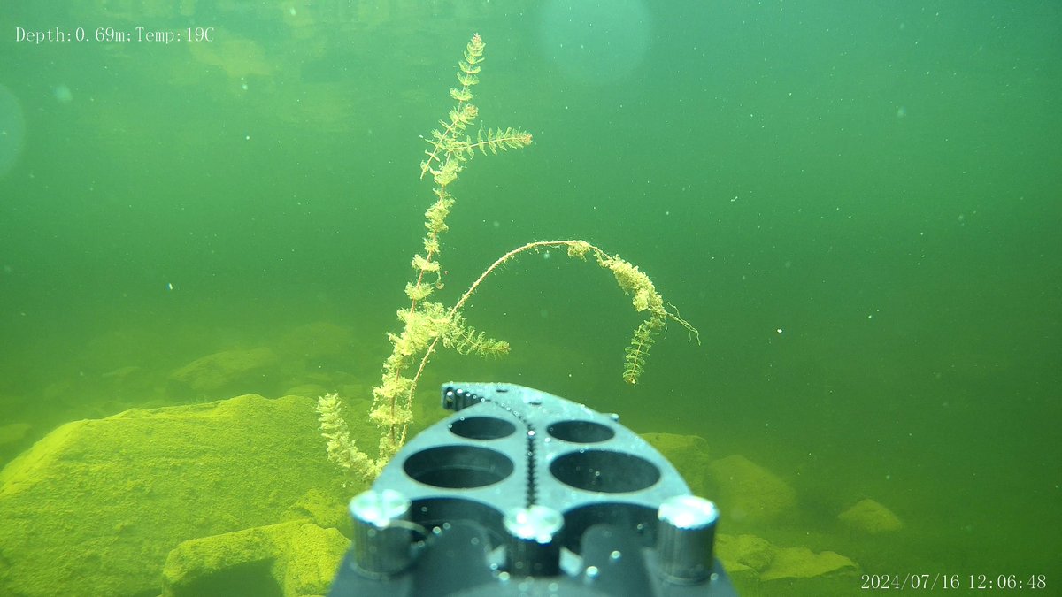 HydroneIRE's tweet photo. Glad to help @MKOIreland inspect for macrophytes using ROV! High quality cameras and mechanical grab allows valuable information be gathered from aquatic environments 🌊 need training or services go to https://t.co/hqZSCi55c8 to see how @KeenaPhilip can help👍 #Drone #ROV https://t.co/dZ55KODLlO