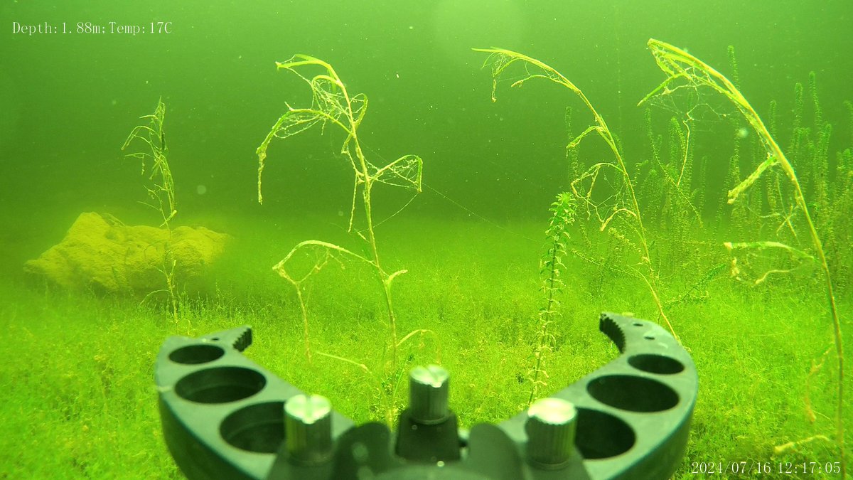 HydroneIRE's tweet photo. Glad to help @MKOIreland inspect for macrophytes using ROV! High quality cameras and mechanical grab allows valuable information be gathered from aquatic environments 🌊 need training or services go to https://t.co/hqZSCi55c8 to see how @KeenaPhilip can help👍 #Drone #ROV https://t.co/dZ55KODLlO