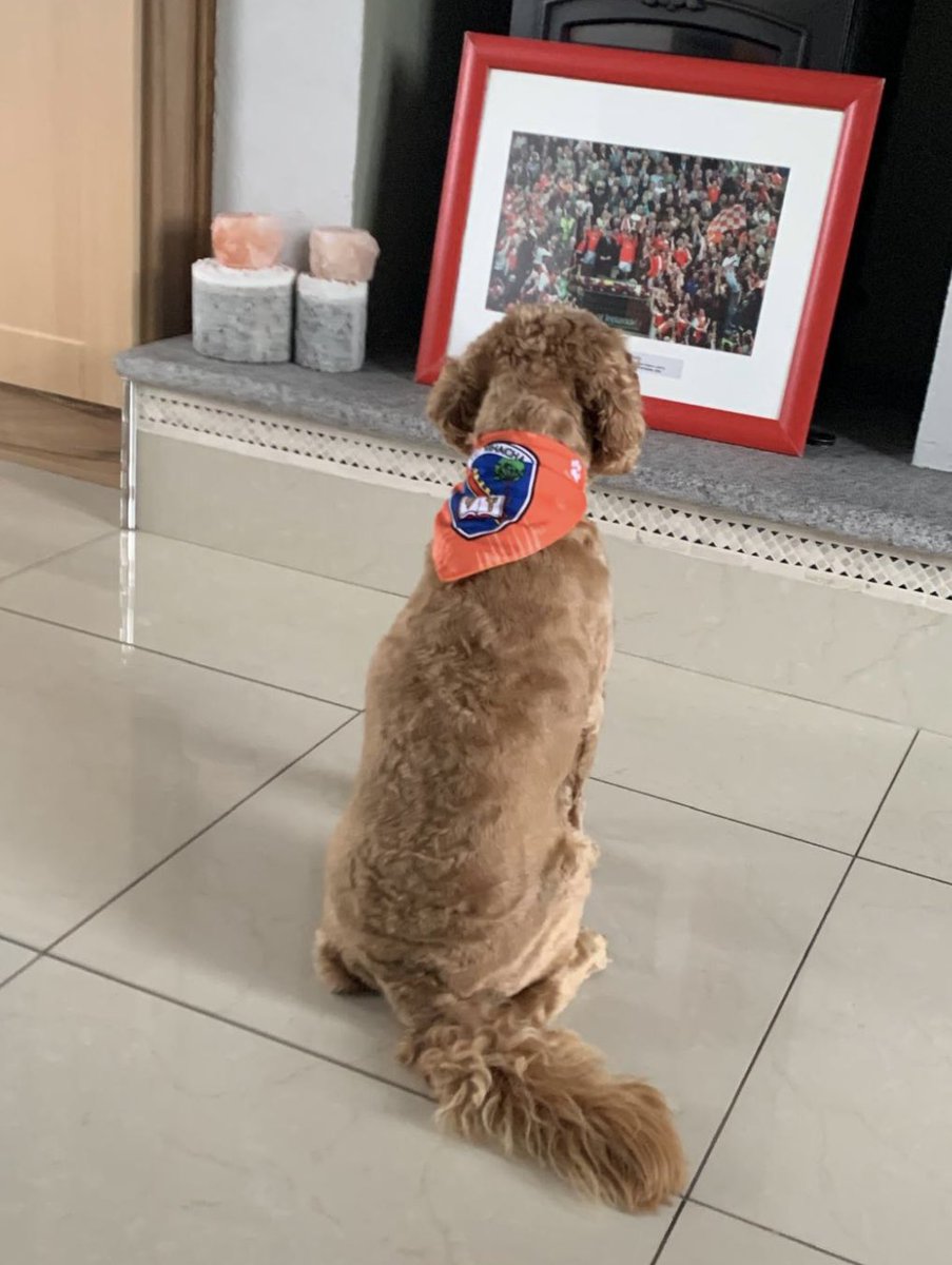 Niamh Ní Mhóra tweet media