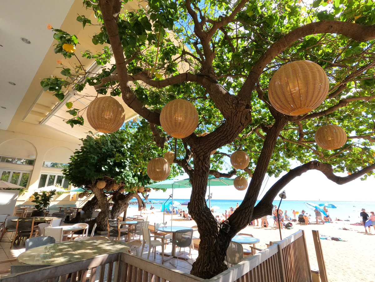 hawaii_isla808's tweet photo. The Kaimana Beach Hotel and Hau Tree at Kaimana Beach in Oahu, Hawaii 🌺☀️🏝️🍹🍽️📸🌴🤙🏼❤️🏖️🤟🏼🌸💥 #hawaii #waikiki #honolulu #oahu #hautree #kaimanabeach #kaimanabeachhotel https://t.co/XbXvRpmzr0