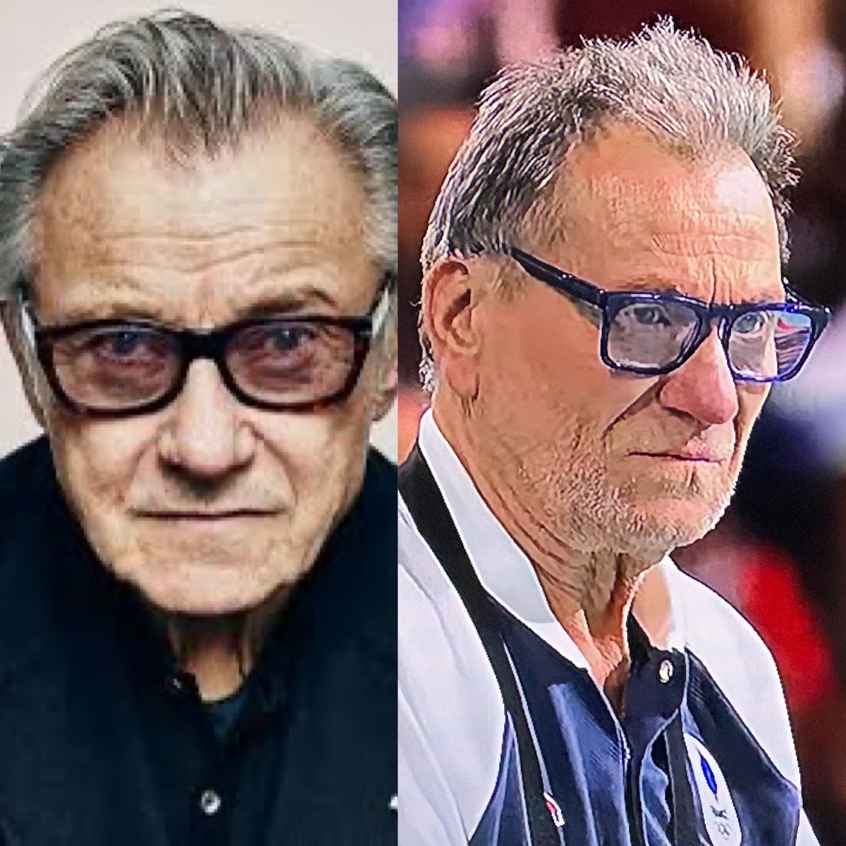 Just flipped on some early round coverage of the <a href="/Paris2024/">Paris 2024</a> #OlympicGames and is it just me or has #harveykeitel possibly given up #Hollywood to become the coach of the women’s Olympic #handball team in #France? #doppelganger
