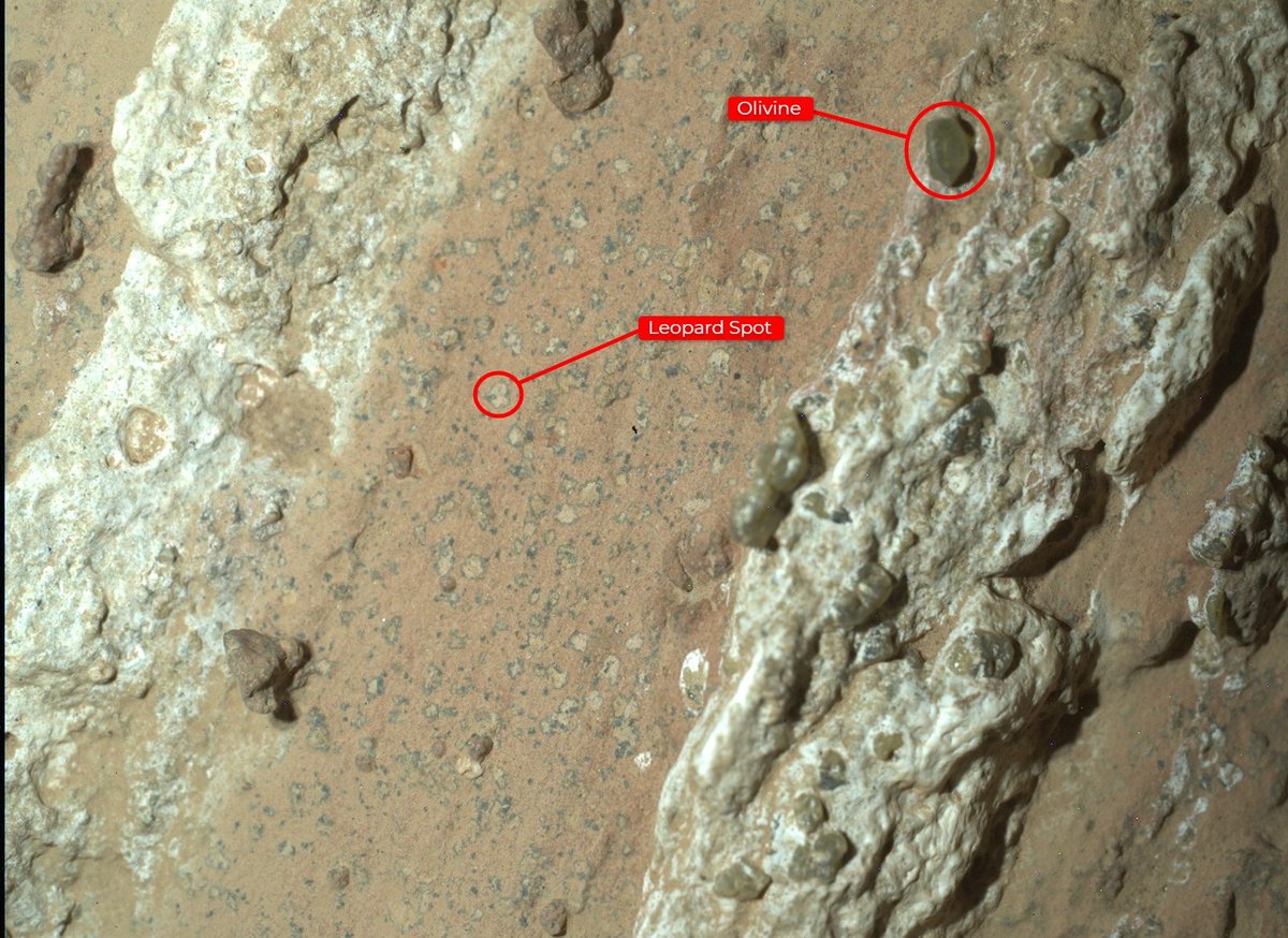 NASA Mars (@nasamars) on Twitter photo Was Mars home to microscopic life in the distant past?
An intriguing rock spotted by <a href="/NASAPersevere/">ARCHIVED - NASA's Perseverance Mars Rover</a> has qualities that fit the definition of a possible indicator of ancient life. But what did we find, and how will we know for sure? go.nasa.gov/3WDv6kH Was Mars home to microscopic life in the distant past?
An intriguing rock spotted by <a href="/NASAPersevere/">ARCHIVED - NASA's Perseverance Mars Rover</a> has qualities that fit the definition of a possible indicator of ancient life. But what did we find, and how will we know for sure? go.nasa.gov/3WDv6kH